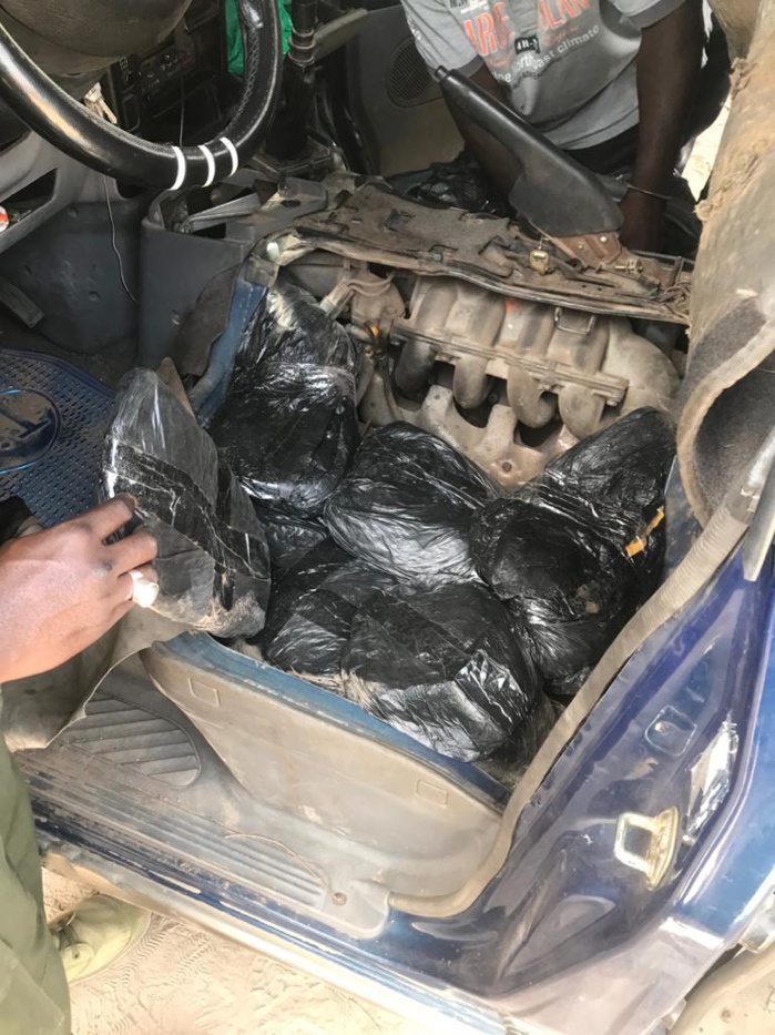 LUTTE CONTRE LE TRAFIC DE STUPEFIANTS : Saisie de 64 kg de chanvre indien et 6 cartons de cuisses de poulet par la Douane de Fatick. LUTTE CONTRE LE TRAFIC DE STUPEFIANTS : Saisie de 64 kg de chanvre indien et 6 cartons de cuisses de poulet par la Douane de Fatick.