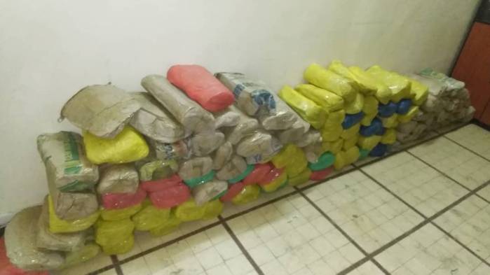 LUTTE CONTRE LE TRAFIC DE DROGUE : La Police saisit 147 kilogrammes de chanvre indien à Kaolack.
