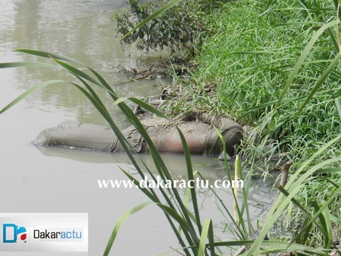 PHOTOS - Gueule Tapée: le cadavre d'un homme retrouvé dans le Canal 4.