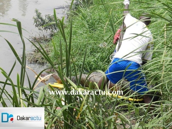 PHOTOS - Gueule Tapée: le cadavre d'un homme retrouvé dans le Canal 4.