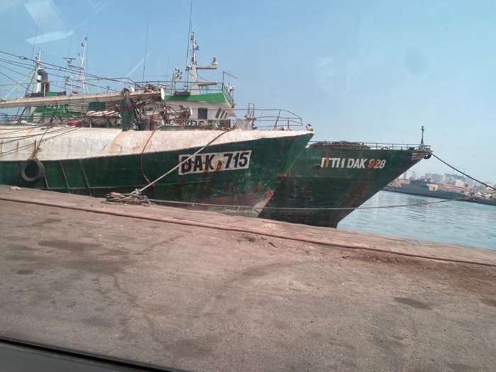 De la question des licences de pêche…l'avis de la commission consultative. (Par Fodé FALL, DC du MPEM) De la question des licences de pêche…l'avis de la commission consultative. (Par Fodé FALL, DC du MPEM)