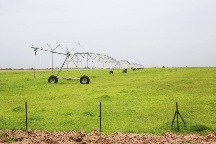 Invite de Sonko à la jeunesse pour un retour vers l'agriculture : "Il est très en retard par rapport à la vision du Chef de l'État." (Pape M. Ndour, Coord. Nat. Prodac) Invite de Sonko à la jeunesse pour un retour vers l'agriculture : "Il est très en retard par rapport à la vision du Chef de l'État." (Pape M. Ndour, Coord. Nat. Prodac)