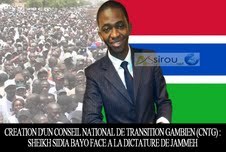 Le piège de L'escroc franco-gambien Sheikh Sidya Bayo, agent de renseignement gambien, déjoué (Mohamed Souleymane Mboup)