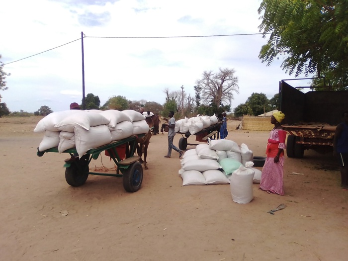 Lutte contre la covid-19 à Kolda : La gendarmerie saisit 40 tonnes de semences d’arachide et 40 tonnes d’engrais…