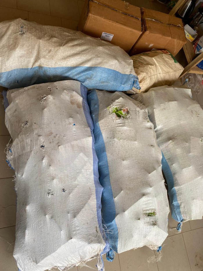 Nioro : La Douane saisit des faux médicaments d’une valeur de 18.000.000 F Cfa. Nioro : La Douane saisit des faux médicaments d’une valeur de 18.000.000 F Cfa.