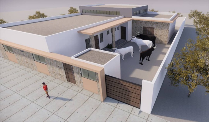 DÉVELOPPEMENT - Début des travaux des Abattoirs de Tivaouane DÉVELOPPEMENT - Début des travaux des Abattoirs de Tivaouane