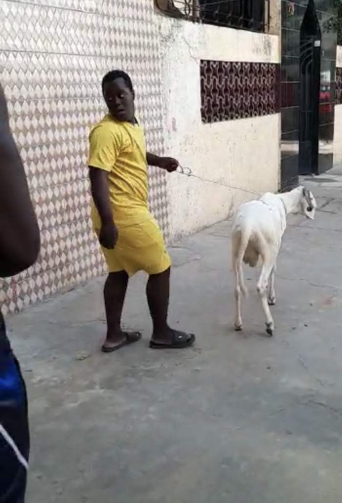 Tabaski 2020 aux HLM : Cheikh Mbaye « Sa Deug Deug » au chevet des populations. Tabaski 2020 aux HLM : Cheikh Mbaye « Sa Deug Deug » au chevet des populations.