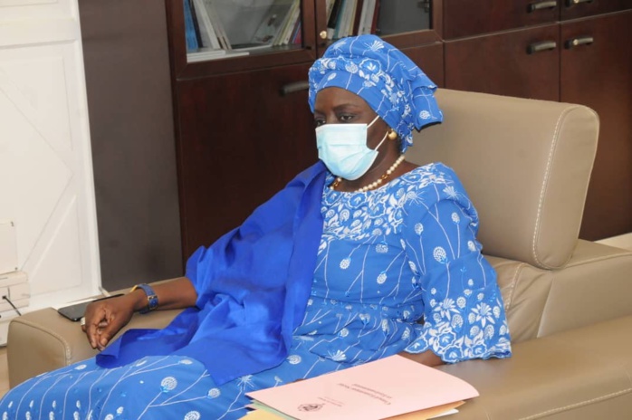 Le Comité d'initiative sur l'annulation de la dette africaine expose son projet à la Présidente du CESE Le Comité d'initiative sur l'annulation de la dette africaine expose son projet à la Présidente du CESE