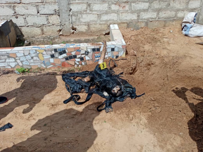 Kawtef : Une tête de bœuf enterrée au cimetière de Mbour Téfess