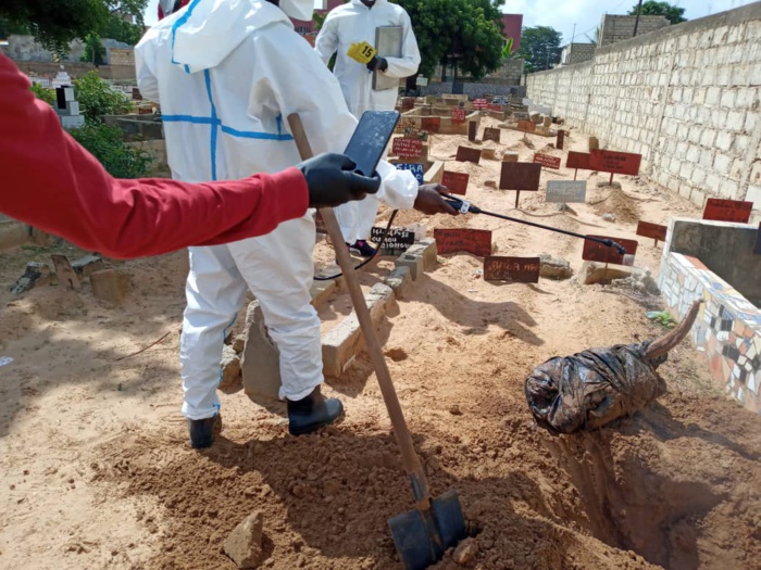 Kawtef : Une tête de bœuf enterrée au cimetière de Mbour Téfess Kawtef : Une tête de bœuf enterrée au cimetière de Mbour Téfess