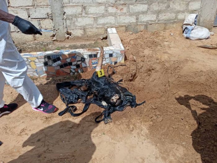 Kawtef : Une tête de bœuf enterrée au cimetière de Mbour Téfess Kawtef : Une tête de bœuf enterrée au cimetière de Mbour Téfess