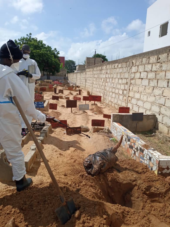 Kawtef : Une tête de bœuf enterrée au cimetière de Mbour Téfess Kawtef : Une tête de bœuf enterrée au cimetière de Mbour Téfess