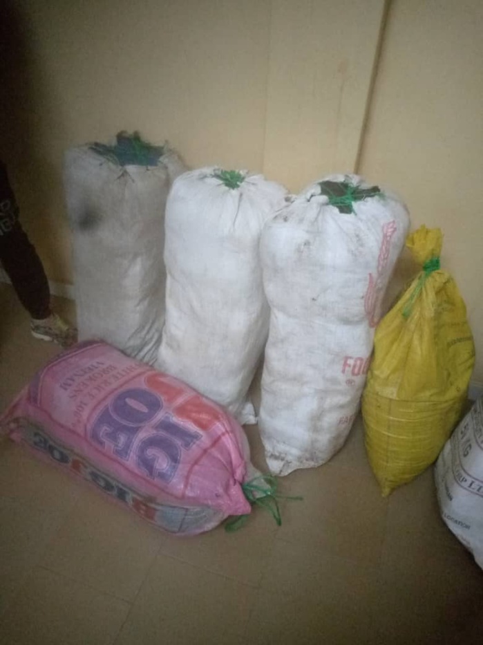 TRAFIC DE DROGUE : Saisie de 110 kilogrammes de chanvre indien à Sédhiou TRAFIC DE DROGUE : Saisie de 110 kilogrammes de chanvre indien à Sédhiou