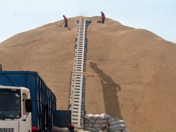 Un syndicat doute de l'objectif de production 800.000 tonnes d'arachides