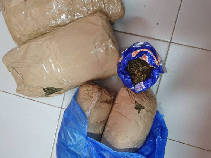 Mbour : Plusieurs kg de chanvre indien saisis et un ancien militaire activement recherché par la Gendarmerie... Mbour : Plusieurs kg de chanvre indien saisis et un ancien militaire activement recherché par la Gendarmerie...