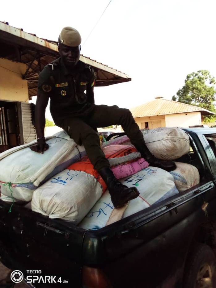 LUTTE CONTRE LE TRAFIC INTERNATIONAL DE STUPEFIANTS : 456 kg de chanvre indien saisis en 24h par la Subdivision des Douanes de Fatick. LUTTE CONTRE LE TRAFIC INTERNATIONAL DE STUPEFIANTS : 456 kg de chanvre indien saisis en 24h par la Subdivision des Douanes de Fatick.