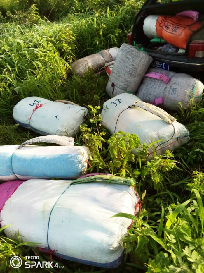 LUTTE CONTRE LE TRAFIC INTERNATIONAL DE STUPEFIANTS : 456 kg de chanvre indien saisis en 24h par la Subdivision des Douanes de Fatick. LUTTE CONTRE LE TRAFIC INTERNATIONAL DE STUPEFIANTS : 456 kg de chanvre indien saisis en 24h par la Subdivision des Douanes de Fatick.