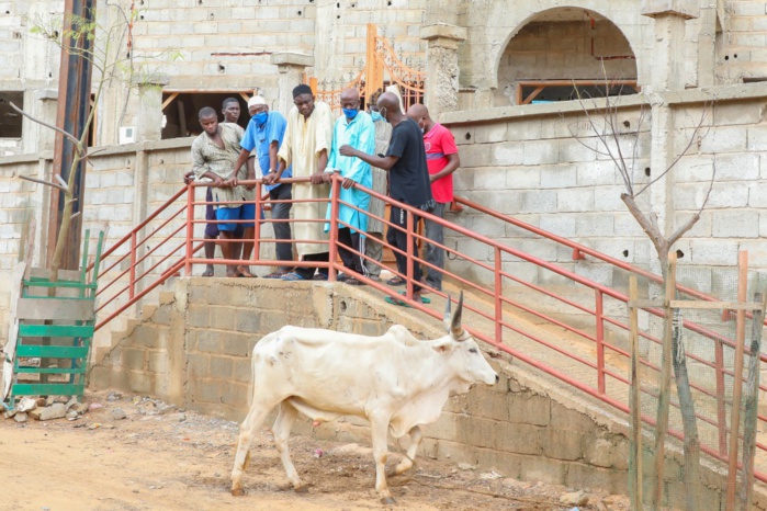 Achoura : Cheikh Bakhoum apporte son soutien aux lieux de culte musulmans et aux familles de la commune Grand-Yoff Achoura : Cheikh Bakhoum apporte son soutien aux lieux de culte musulmans et aux familles de la commune Grand-Yoff
