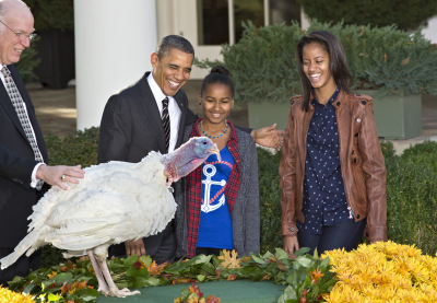Le président Barack Obama a effectué la traditionnelle bénédiction de la dinde à l'approche de Thanksgiving. Il était accompagné de ses filles.