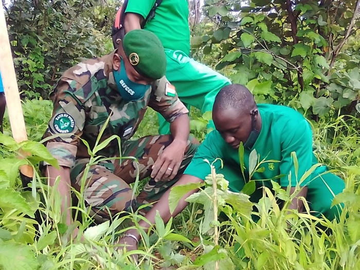 Reboisement à Kolda : 6 986 anacardiers plantés pour protéger l’environnement. Reboisement à Kolda : 6 986 anacardiers plantés pour protéger l’environnement.