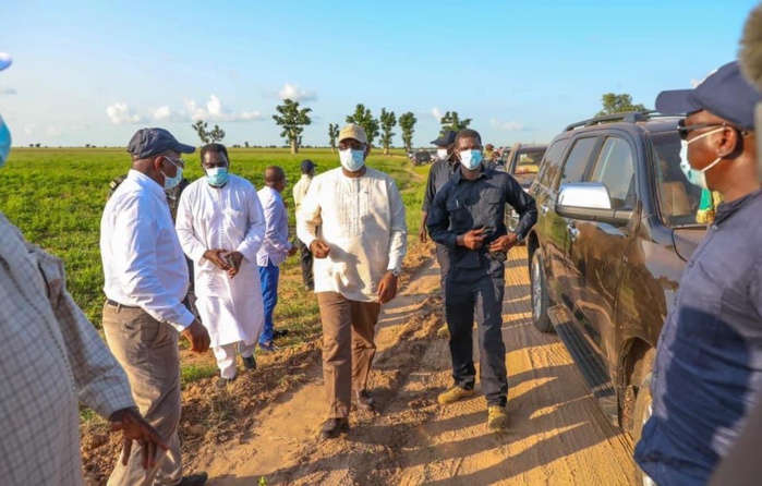 Macky Sall sur le traitement par la presse du rapport du département d'état sur les affaires au Sénégal : « Les américains n'ont pas critiqué, c'est une partie de la presse qui raconte n'importe quoi... Des gens ont décidé de saboter le pays » Macky Sall sur le traitement par la presse du rapport du département d'état sur les affaires au Sénégal : « Les américains n'ont pas critiqué, c'est une partie de la presse qui raconte n'importe quoi... Des gens ont décidé de saboter le pays »