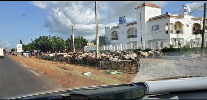 NGABOU / Sokhna Aïda Diallo disposée à s'accommoder des exigences du Khalife Général. NGABOU / Sokhna Aïda Diallo disposée à s'accommoder des exigences du Khalife Général.