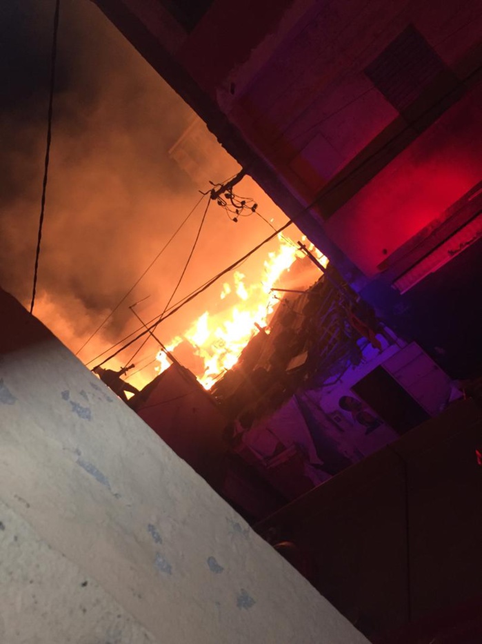 URGENT : Le parc Lambaye du centre-ville en feu... URGENT : Le parc Lambaye du centre-ville en feu...