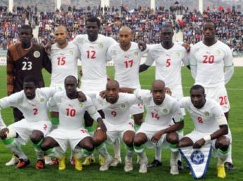 Le prochain sélectionneur des "Lions" sera connu le 10 Janvier prochain