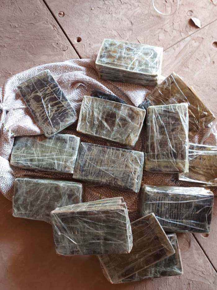 TRAFIC INTERNATIONAL DE DROGUES : La Douane saisit 1376 kg de chanvre indien à Kidira.