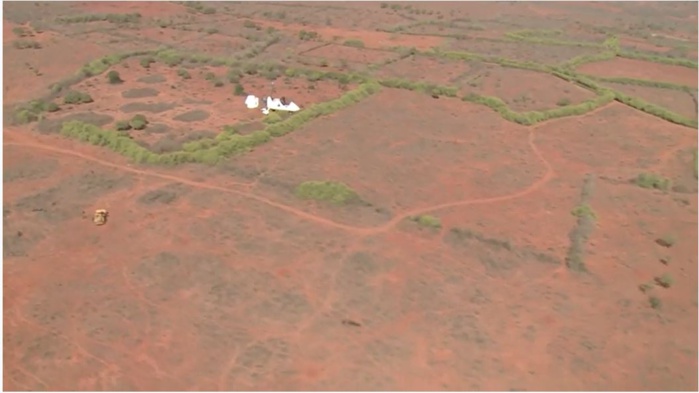 Lâcher de « mouches » dans la zone de Allou Kagne : une simple « technique des insectes stériles » pour lutter contre la mouche tsé-tsé... Lâcher de « mouches » dans la zone de Allou Kagne : une simple « technique des insectes stériles » pour lutter contre la mouche tsé-tsé...