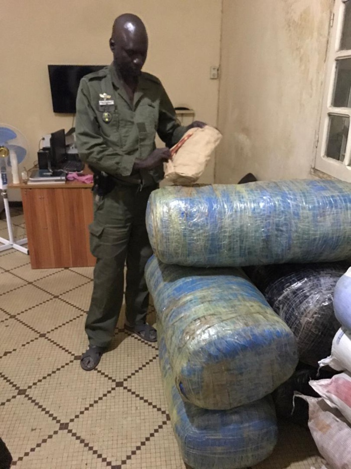 Trafic de drogues : 634 kg de chanvre indien saisis à Koungheul et à Mbour. Trafic de drogues : 634 kg de chanvre indien saisis à Koungheul et à Mbour.