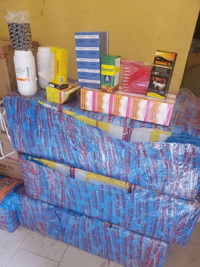 Trafic de drogues : 634 kg de chanvre indien saisis à Koungheul et à Mbour. Trafic de drogues : 634 kg de chanvre indien saisis à Koungheul et à Mbour.