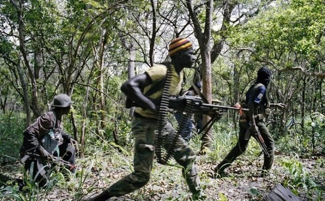Forêt classée de Bayotte : 09 exploitants forestiers tabassés par des hommes armés.