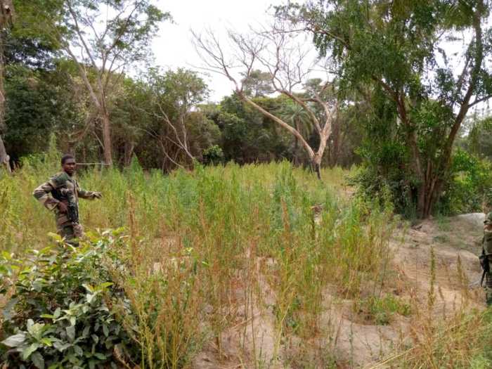 Casamance / Le Colonel Souleymane Kandé explique la mission de ratissage dans le Balantacounda. Casamance / Le Colonel Souleymane Kandé explique la mission de ratissage dans le Balantacounda.