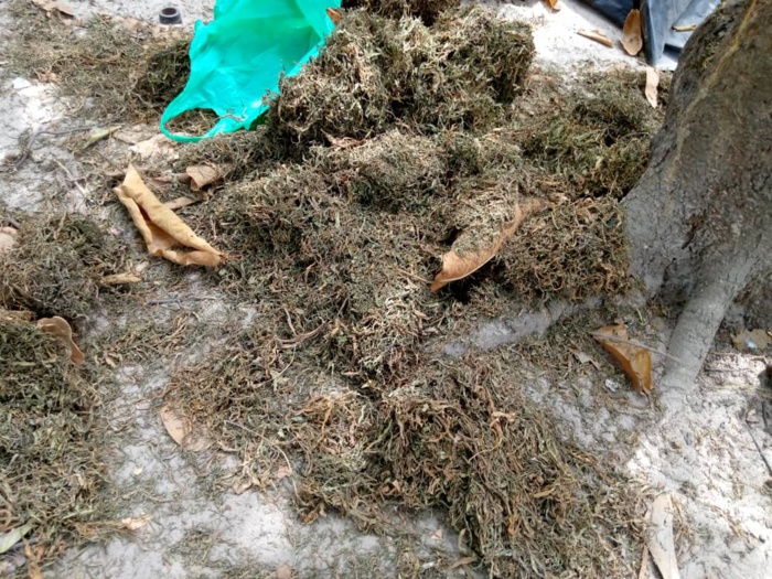 Casamance / Le Colonel Souleymane Kandé explique la mission de ratissage dans le Balantacounda. Casamance / Le Colonel Souleymane Kandé explique la mission de ratissage dans le Balantacounda.