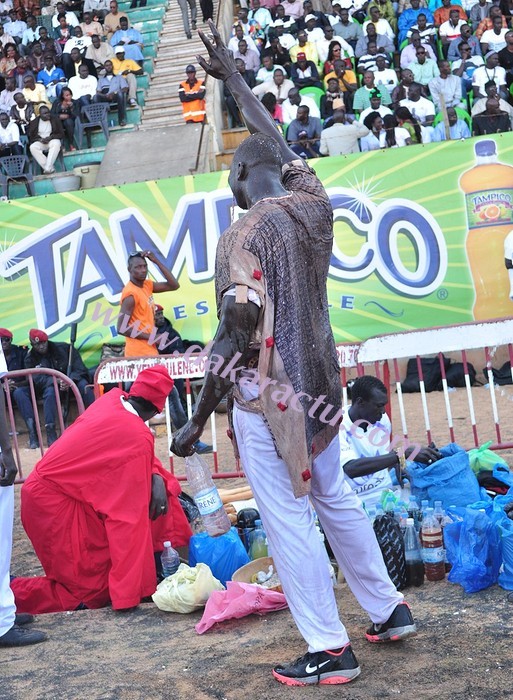 Les images du combat Malick Niang Vs Sa Thies