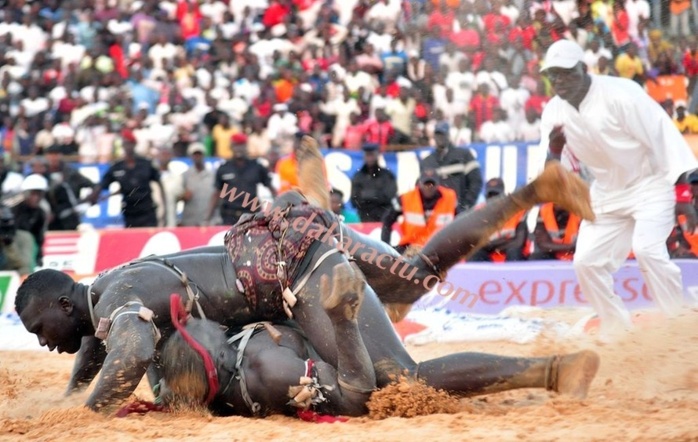Les images du combat Malick Niang Vs Sa Thies