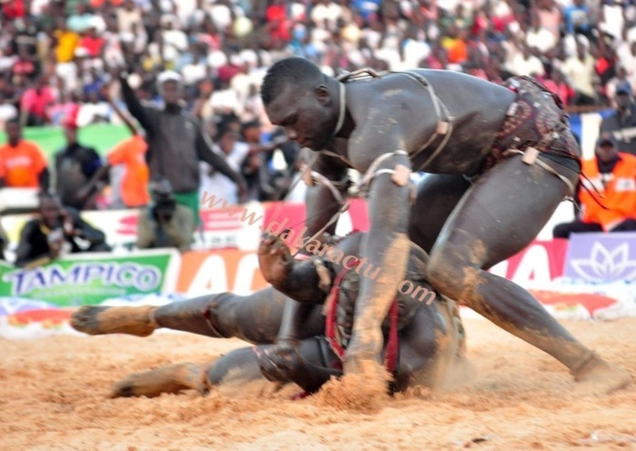 Les images du combat Malick Niang Vs Sa Thies