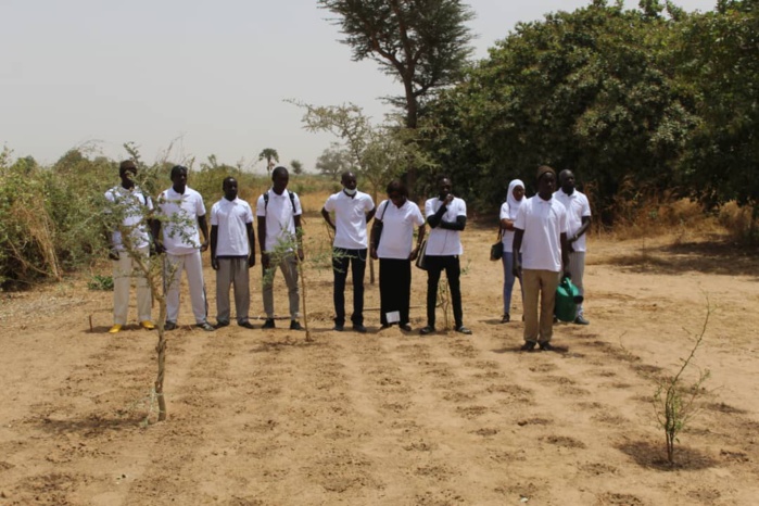 Ndiaganiao : « La seule solution pour l'employabilité des jeunes reste la formation » (Dr Téning Sène, DG Ana) Ndiaganiao : « La seule solution pour l'employabilité des jeunes reste la formation » (Dr Téning Sène, DG Ana)