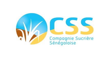 CSS: Un géant aux pieds d’argile