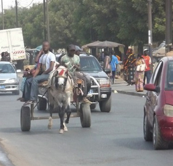 La mairie de Dakar invitée à ‘’réglementer sans délai’’ la cohabitation entre charrettes et voitures