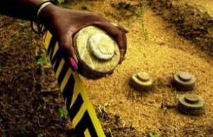 Casamance : une marche des femmes pour la libération des 12 démineurs