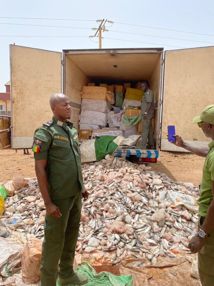 Keur Ayib : La Douane effectue une saisie record de médicaments dissimulés dans des caisses de poissons congelés valeur de 1,5 milliard de nos francs. Keur Ayib : La Douane effectue une saisie record de médicaments dissimulés dans des caisses de poissons congelés valeur de 1,5 milliard de nos francs.