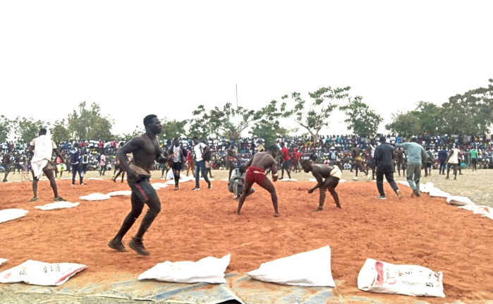 Méga "Mbapatt" : Luc Nicolaï réunit la crème des lutteurs traditionnels dans le stade municipal de Nianing. Méga "Mbapatt" : Luc Nicolaï réunit la crème des lutteurs traditionnels dans le stade municipal de Nianing.