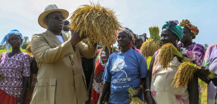 INITIATIVE MAJEURE DE MACKY SALL : désormais, femmes et jeunes agriculteurs peuvent s’équiper sans débourser un franc INITIATIVE MAJEURE DE MACKY SALL : désormais, femmes et jeunes agriculteurs peuvent s’équiper sans débourser un franc