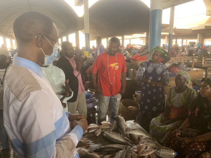 DER-FJ/Nano crédit : plus de 12 milliards de Francs Cfa attribués au produit dans la loi de finance rectificative 2021. DER-FJ/Nano crédit : plus de 12 milliards de Francs Cfa attribués au produit dans la loi de finance rectificative 2021.