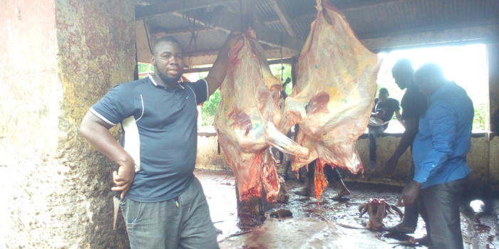 Pénurie de viande à Kolda : Rareté et cherté de la viande, bouchers et tannerie en sursis… Pénurie de viande à Kolda : Rareté et cherté de la viande, bouchers et tannerie en sursis…