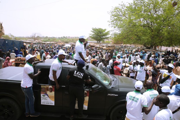LOCALES À DIOURBEL / Pape Modou Fall et Dëgg Moo Woor investissent le Ministre Dame Diop pour la mairie et invitent Bby et la mouvance à taire les quenelles. LOCALES À DIOURBEL / Pape Modou Fall et Dëgg Moo Woor investissent le Ministre Dame Diop pour la mairie et invitent Bby et la mouvance à taire les quenelles.