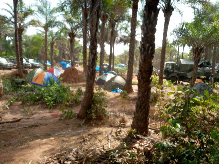 Assaut contre les bases du MFDC à Niassya : L’armée liste le bilan des saisies et annonce l’ouverture de la boucle de Kaguitt-Toubacouta.