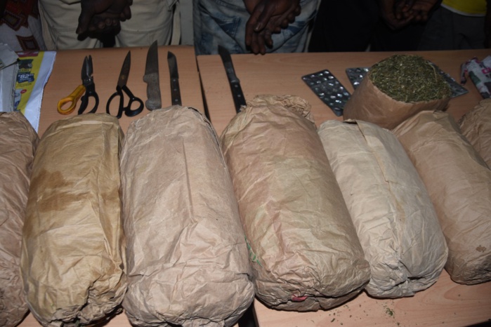 Opération Gendarmerie / Criminalité et délinquance à Keur Massar-Mbao Tivaouane-Peulh : 150 personnes interpellées, 14 personnes arrêtées, 12 kg de chanvre et des armes blanches saisis… Opération Gendarmerie / Criminalité et délinquance à Keur Massar-Mbao Tivaouane-Peulh : 150 personnes interpellées, 14 personnes arrêtées, 12 kg de chanvre et des armes blanches saisis…